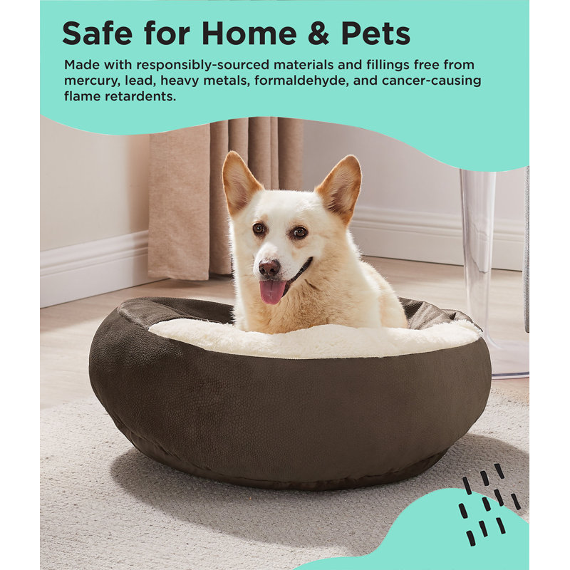 Best friends pets dog beds best sale